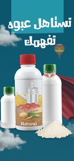 Huda